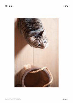 MILL（ミル） 表紙
