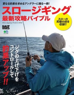 スロージギング最新攻略バイブル 表紙