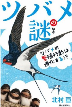 ツバメの謎 表紙