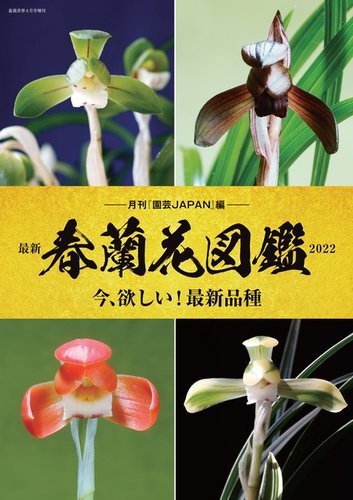 最新春蘭花図鑑22 定期購読 雑誌のfujisan