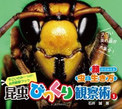 昆虫びっくり観察術1　顔からみえる虫の生き方 表紙
