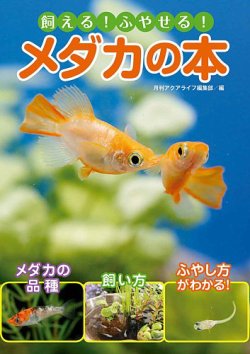 飼える！ふやせる！メダカの本 表紙