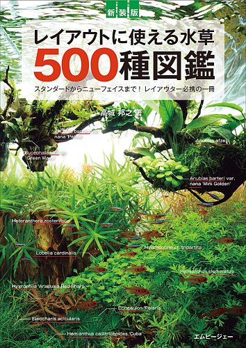 新訂版 レイアウトに使える水草 500｜定期購読 - 雑誌のFujisan
