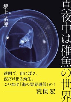 真夜中は稚魚の世界 表紙