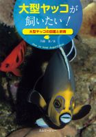 大型ヤッコが飼いたい！