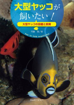 大型ヤッコが飼いたい！ 表紙