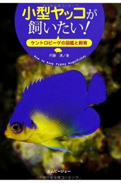小型ヤッコが飼いたい！ 表紙