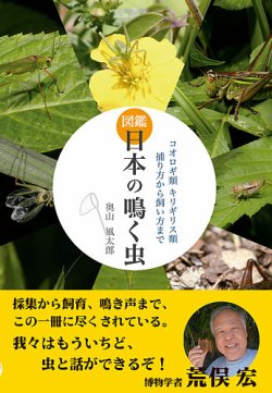 図鑑 日本の鳴く虫 表紙