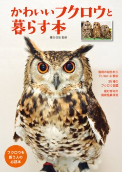 かわいいフクロウと暮らす本 表紙