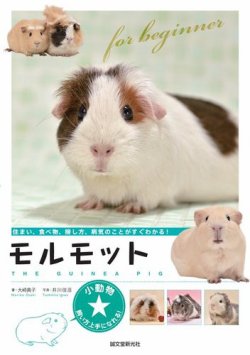小動物☆飼い方上手になれる！ 表紙
