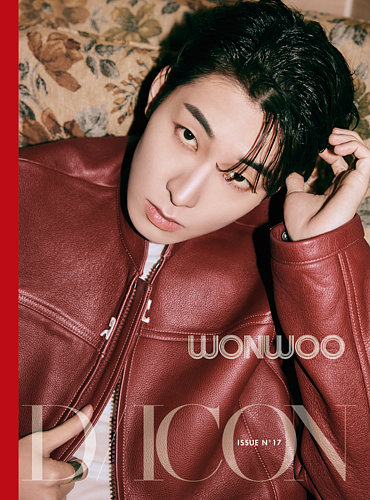 名入れ無料】 dicon wonwoo コンプ Btype セット ウォヌ K-POP・アジア 