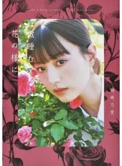 鶴嶋乃愛 1stフォトエッセイ 微睡む花の様に 表紙