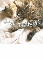 キジトラ猫だけ！（TOKYO NEWS BOOKS） 表紙