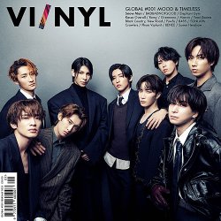 VI/NYL GLOBAL 表紙