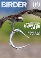 BIRDER（バーダー） 表紙