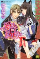 愛するお兄さん 表紙