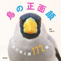 鳥の正面顔 表紙