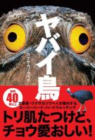 ヤバイ鳥 表紙