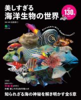 美しすぎる海洋生物の世界 表紙