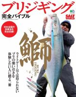 ブリジギング完全バイブル 表紙