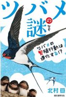 ツバメの謎 表紙