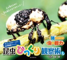 昆虫びっくり観察術2　体からみえる虫の能力 表紙