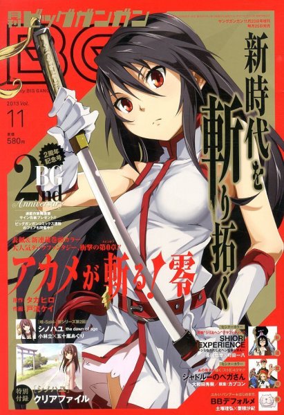 ビッグガンガン 11/23号 (発売日2013年10月25日) 表紙