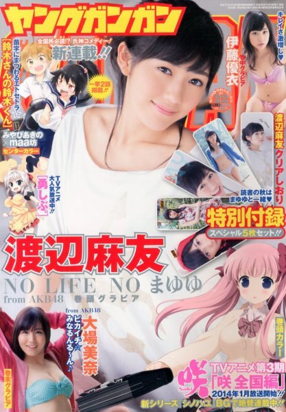 YOUNG GANGAN (ヤング・ガンガン) 11/15号 (発売日2013年11月01日) 表紙