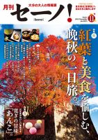 月刊セーノ！ 2013年11月号 表紙