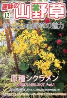 趣味の山野草 12月号 (発売日2013年11月12日) 表紙