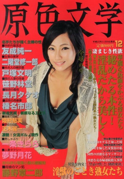 絢爛文学 12月号 (発売日2013年11月09日) 表紙