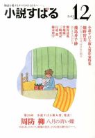 小説すばる 12月号 表紙