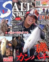 SALT＆STREAM（ソルト＆ストリーム） 1月号 (発売日2013年11月21日) 表紙