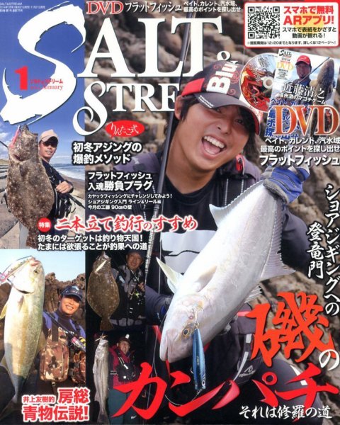 SALT＆STREAM（ソルト＆ストリーム） 1月号 (発売日2013年11月21日) 表紙