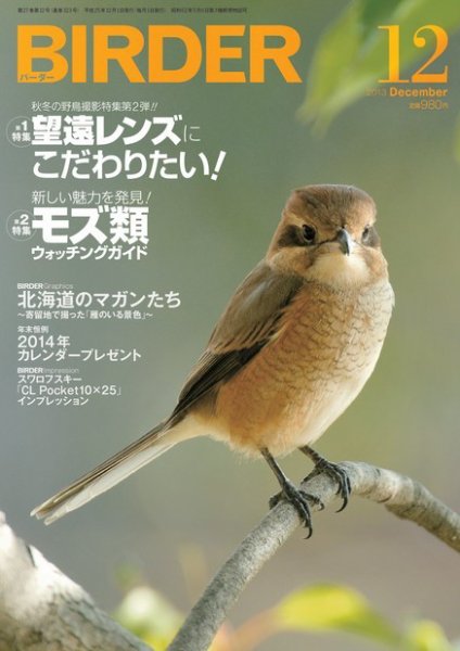 BIRDER（バーダー） 2013年12月号 (発売日2013年11月16日) 表紙