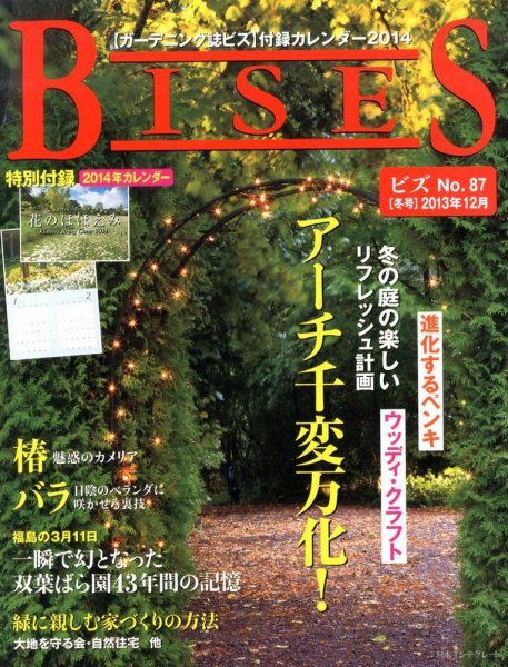 BISES（ビズ） 12月号 (発売日2013年11月16日) 表紙