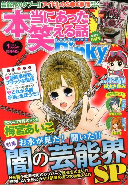 本当にあった笑える話　Pinky 1月号 (発売日2013年11月21日) 表紙