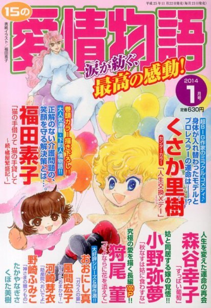 15の愛情物語 1月号 (発売日2013年11月22日) 表紙
