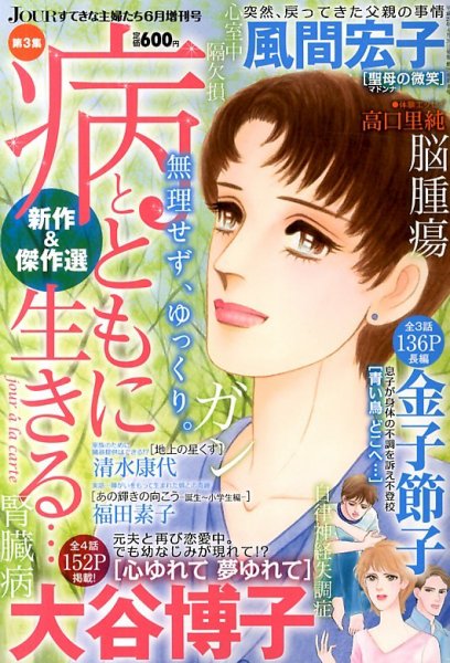 増刊 Jour (ジュール) すてきな主婦たち 2013年04月26日発売号 表紙