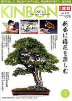 月刊 近代盆栽 1月号 表紙