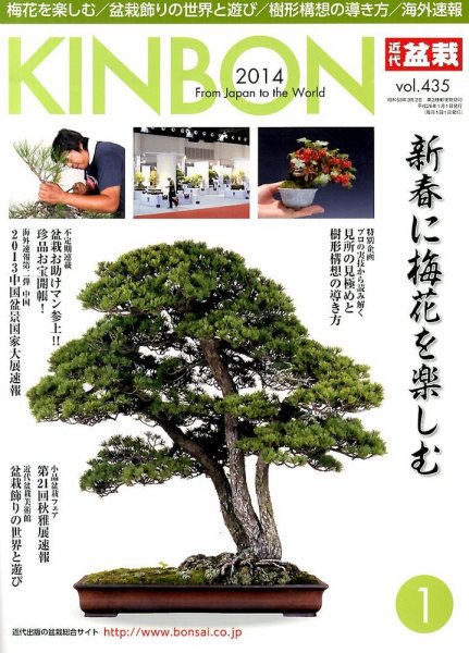 月刊 近代盆栽 1月号 (発売日2013年12月04日) 表紙