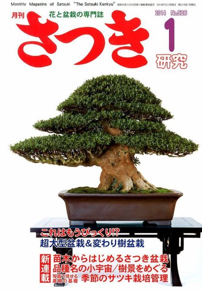 さつき研究 1月号 (発売日2013年12月05日) 表紙