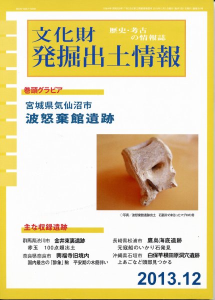 文化財発掘出土情報 12月号 (発売日2013年12月01日) 表紙