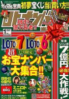 ギャンブル宝典ロト・ナンバーズ当選倶楽部 1月号 (発売日2013年12月05日) 表紙
