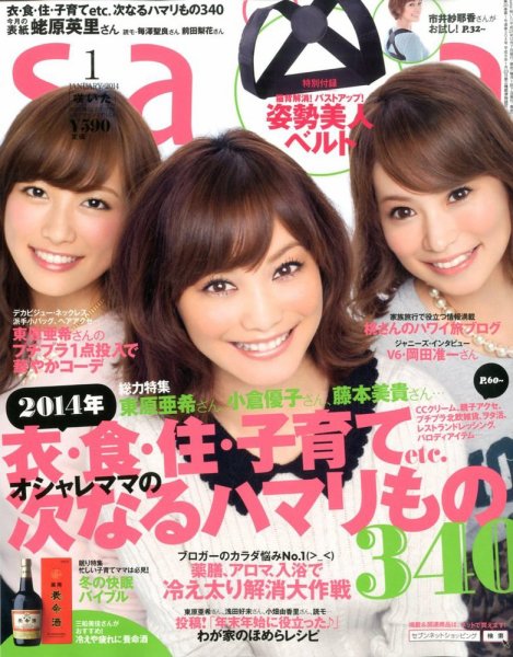 ｓａｉｔａ（サイタ） 1月号 (発売日2013年12月07日) 表紙
