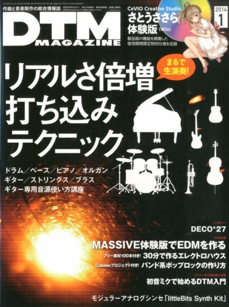 DTM Magazine（ディーティーエムマガジン） 1月号 (発売日2013年12月07日) 表紙