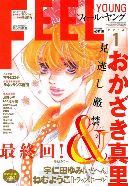 フィールヤング 1月号 (発売日2013年12月07日) 表紙