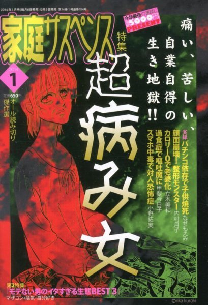 家庭サスペンス  1月号 (発売日2013年12月06日) 表紙
