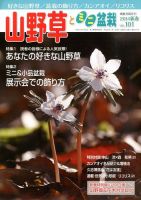 山野草とミニ盆栽 1月号 (発売日2013年12月12日) 表紙