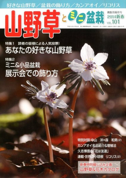 山野草とミニ盆栽 1月号 (発売日2013年12月12日) 表紙